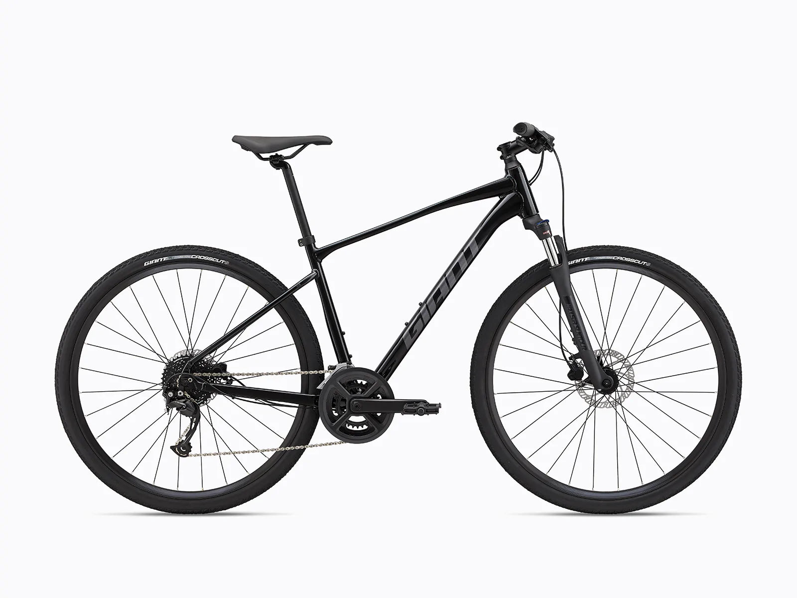 image features a Giant Roam 2 Disc, a bike designed for the road as well as off road trails
